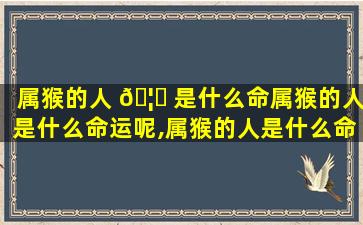 属猴的人 🦅 是什么命属猴的人是什么命运呢,属猴的人是什么命属猴的人是什么命运呢女孩